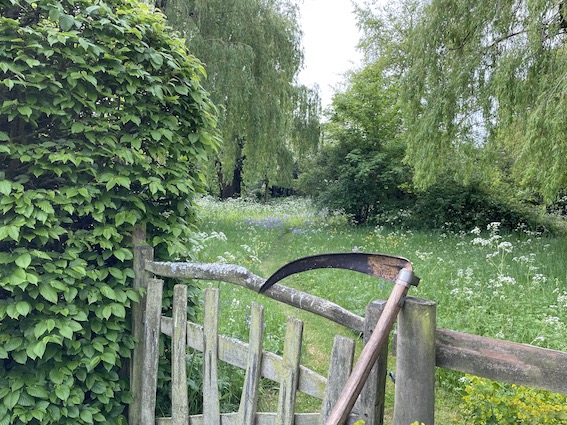 gate